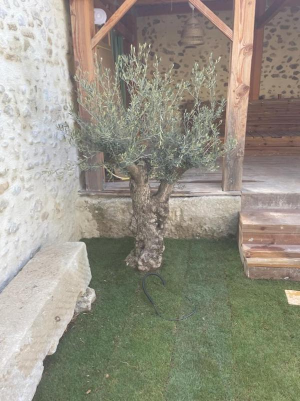 Drome Provencale Maison Familiale Calme Dans Village Valréas Esterno foto
